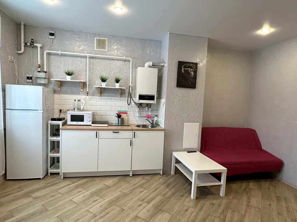 Уютная квартира у горнолыжного курорта Сорочаны