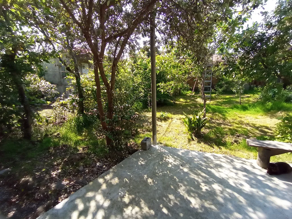 Коттедж в саду у Веры