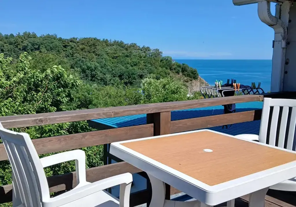 Студия с террасой