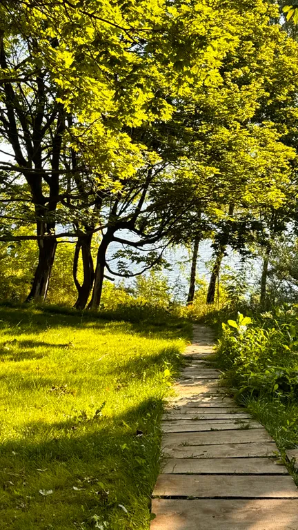 Уютный шатер среди деревьев на берегу озера