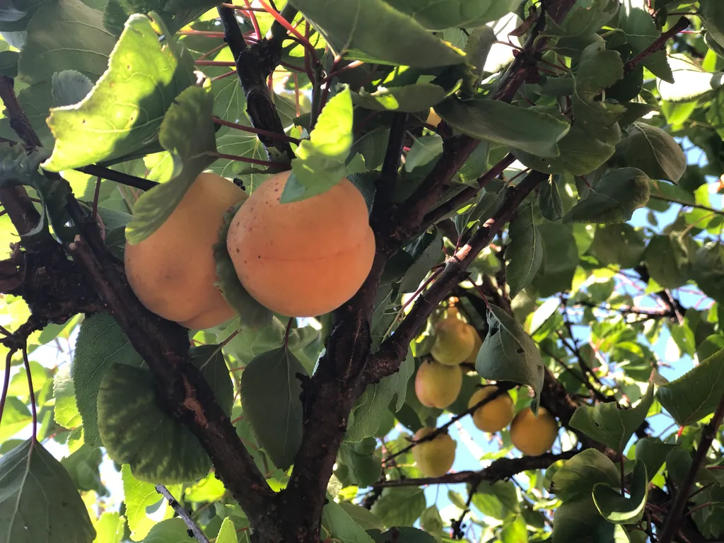 Индустриальный лофт