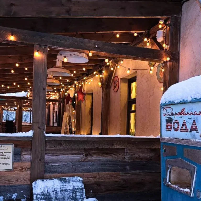 Студия Скандинавский лес с видом на Шуваловский парк