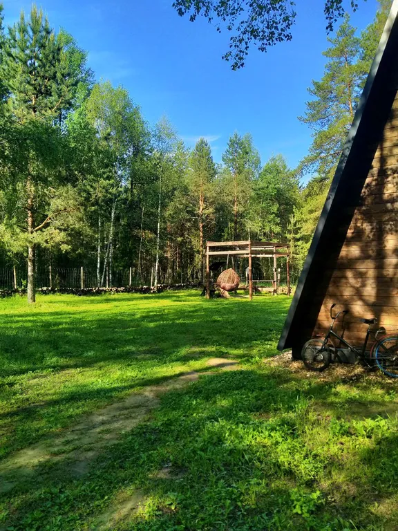 Уютный домик с видом на лес