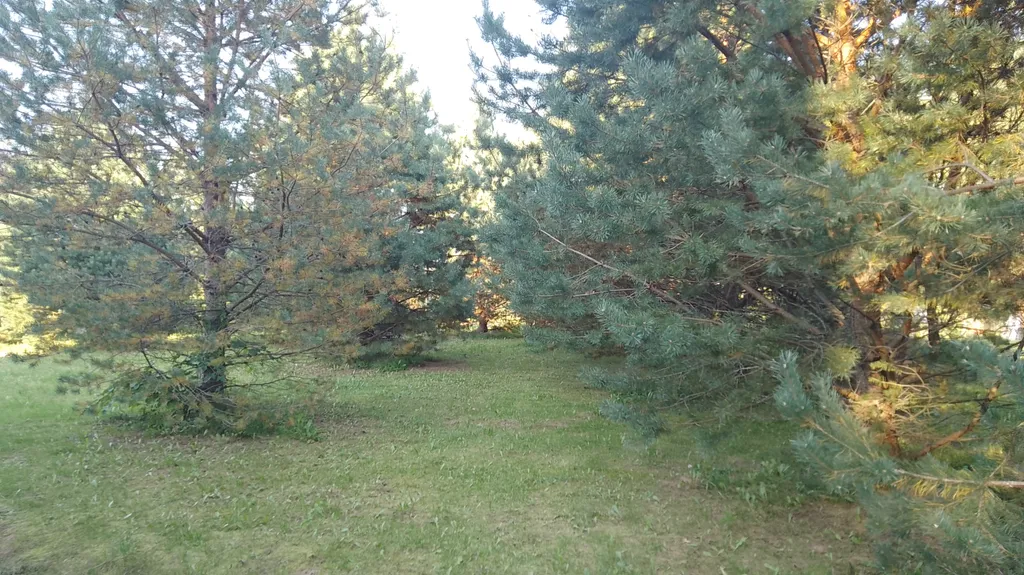 Уютный Таунхаус Хитрый лис