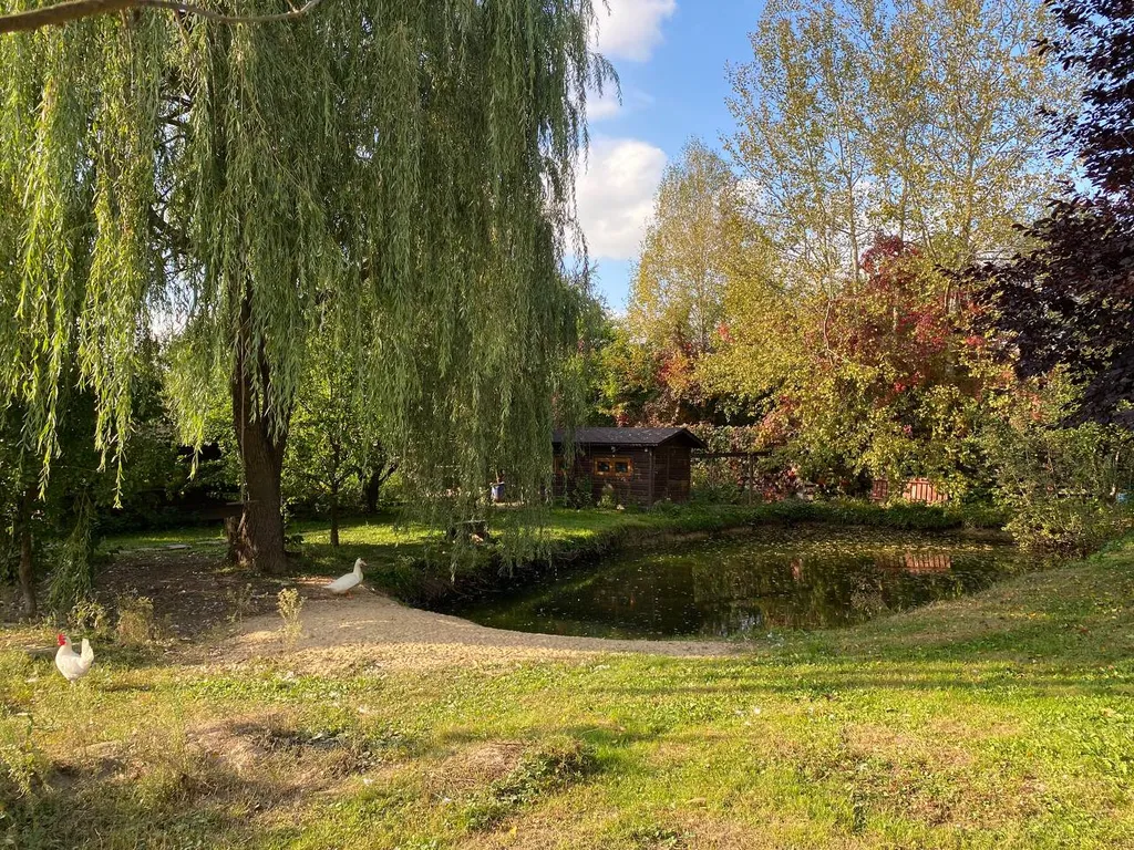 Уютный дом с баней и подворьем