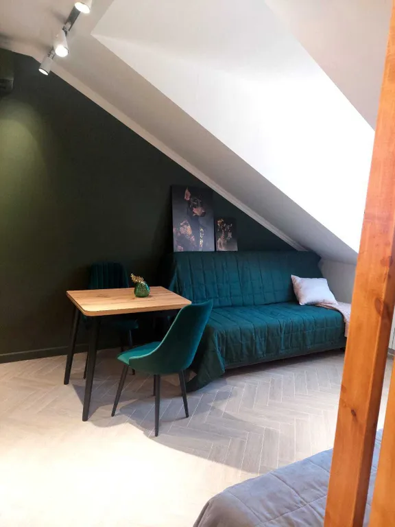 Уютная студия в Красной Поляне