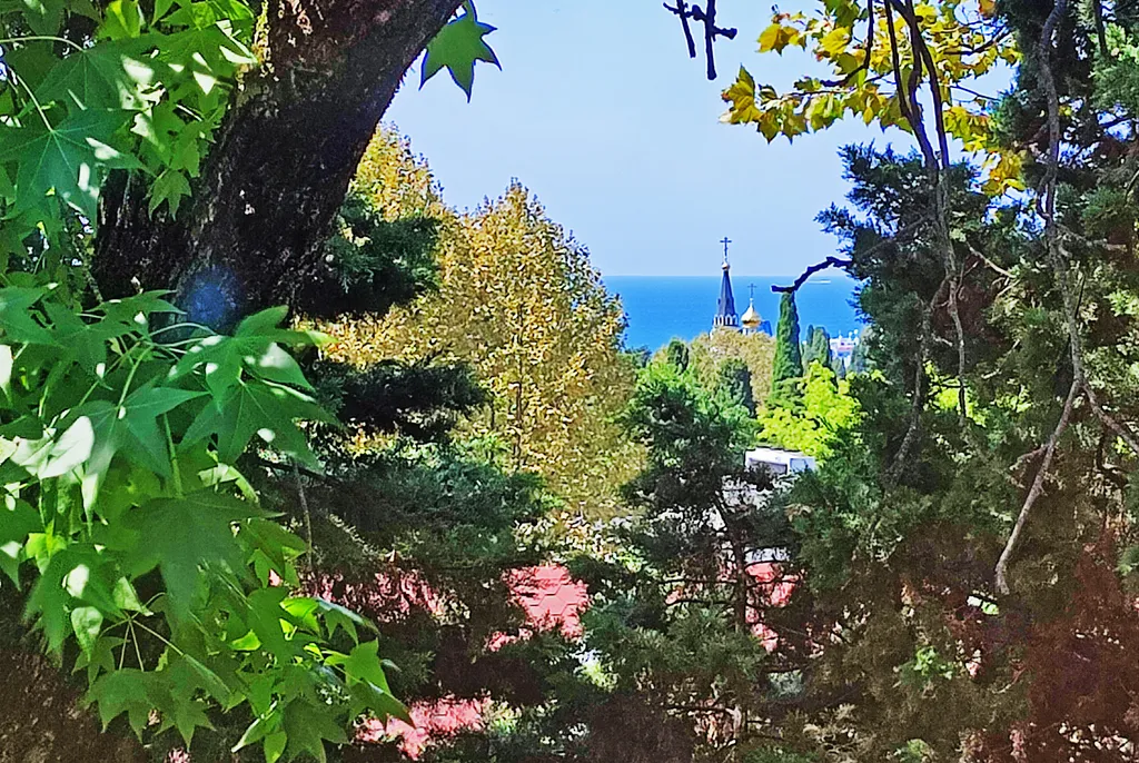 Квартира Уютная, просторная, светлая квартира в центре города — Сочи