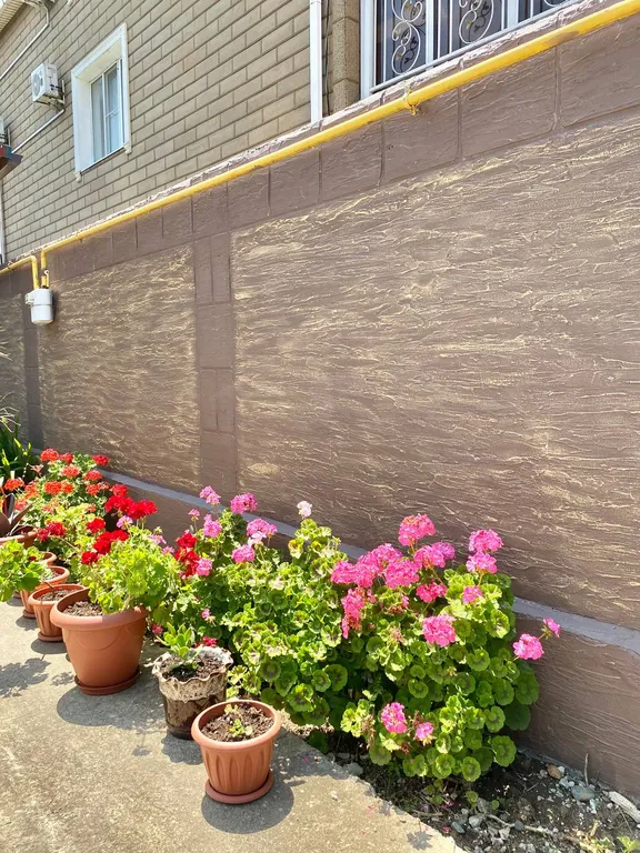 Квартира Комната — Сириус