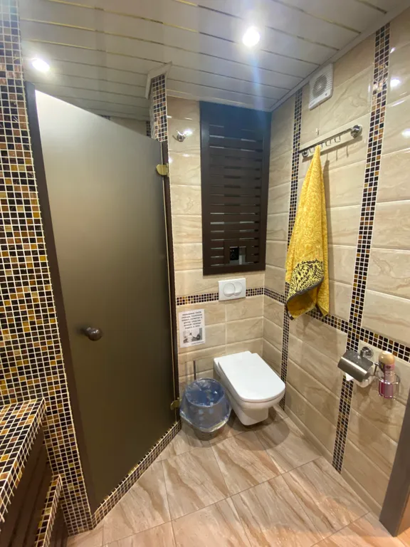 Современный новый дом с баней и банным чаном и бассейном