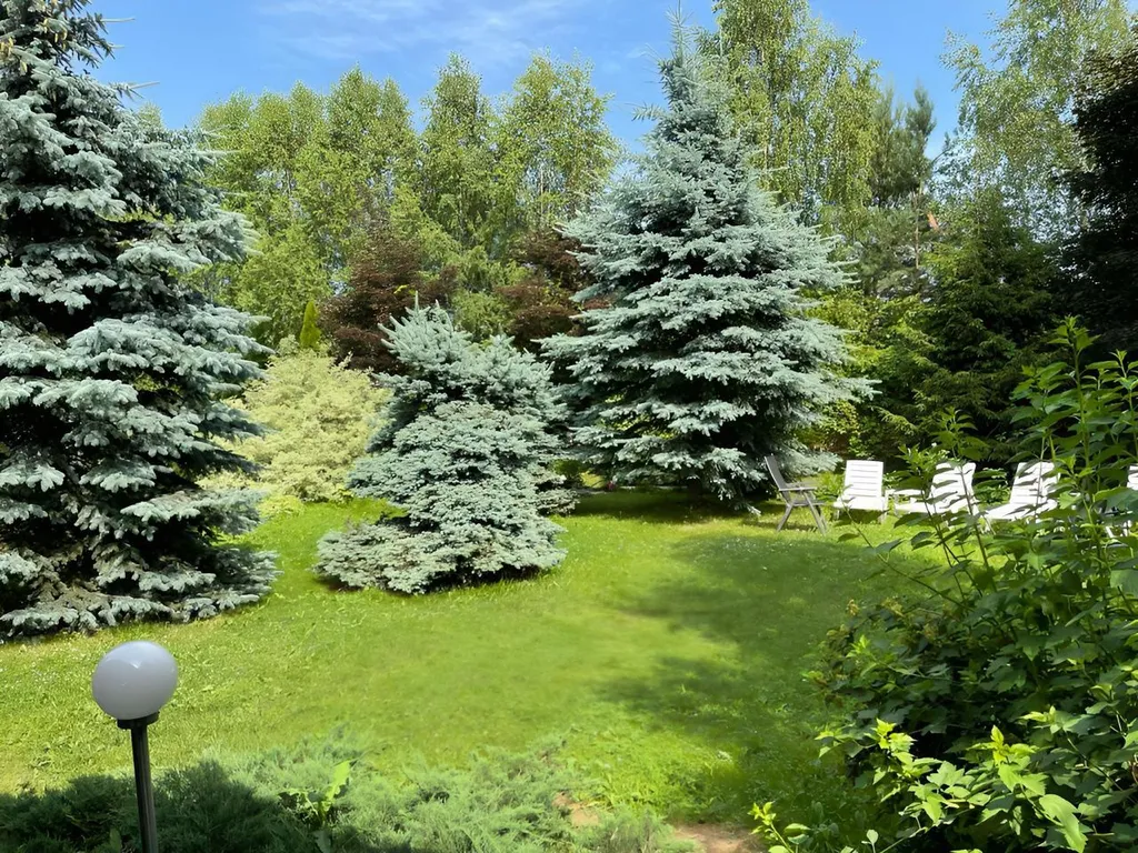 Лисавино Eco House, дом с бассейном и баней