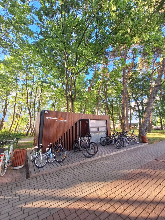 Квартира Квартира Апарт Парк — Светлогорск