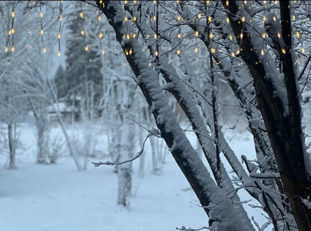 Уютный дом A-Frame в лесу