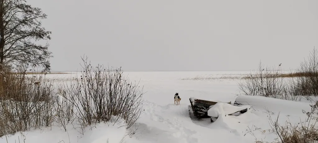 Дом для большой компании на Браславских озерах