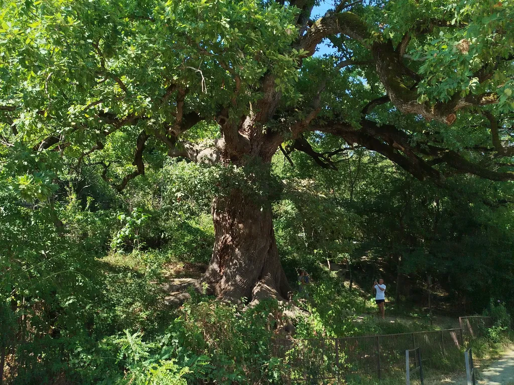 Отдых на море