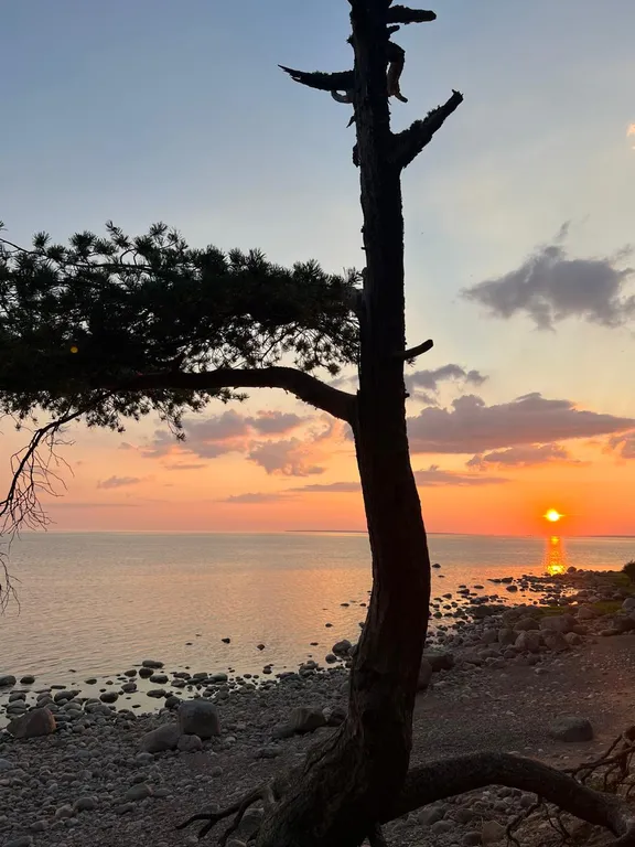 Дом у Финского залива