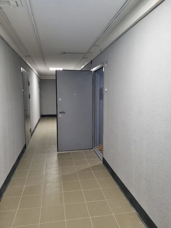 Студия на графской