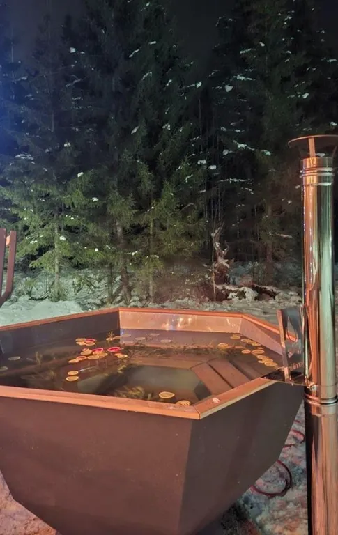 Волчье Логово, комфортный уединённый дом в лесу