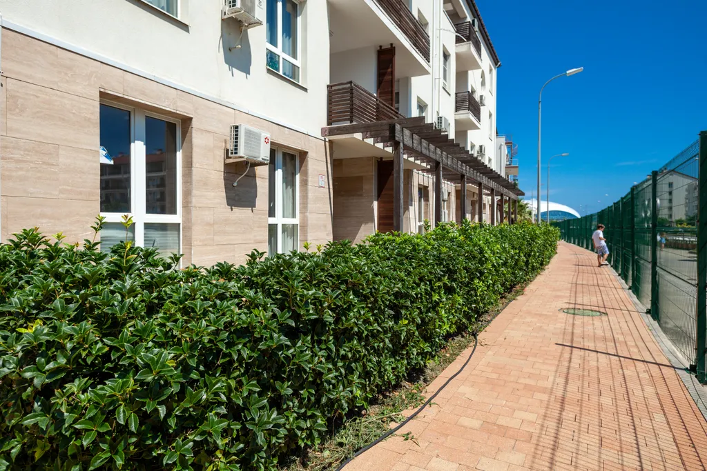 6-комнатные апартаменты Pulsar Apartments