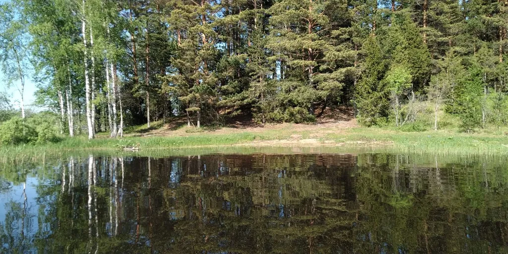 Мансарда на Селигере