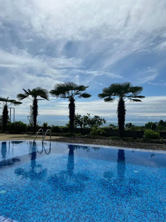 Дом с бассейном у моря участок - 24 сотки райского сада