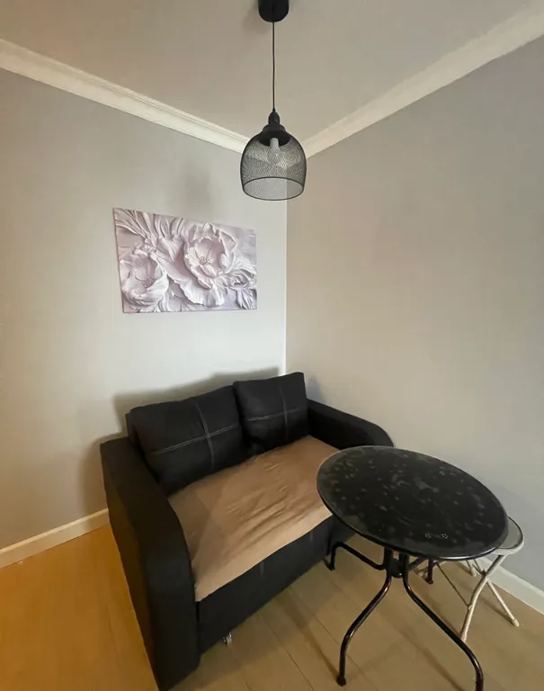 Уютная большая однокомнатная квартира евро двушка