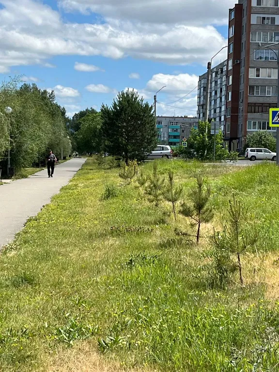 Уютная квартира с wi-fi