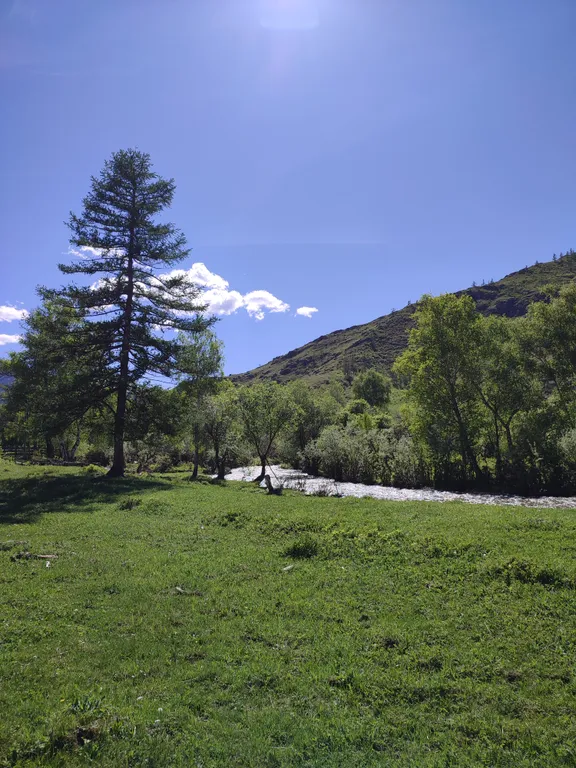 База отдыха Акбулак домики на берегу реки