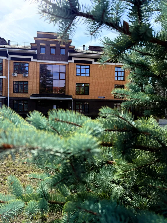 Апартамент в сосновом лесу