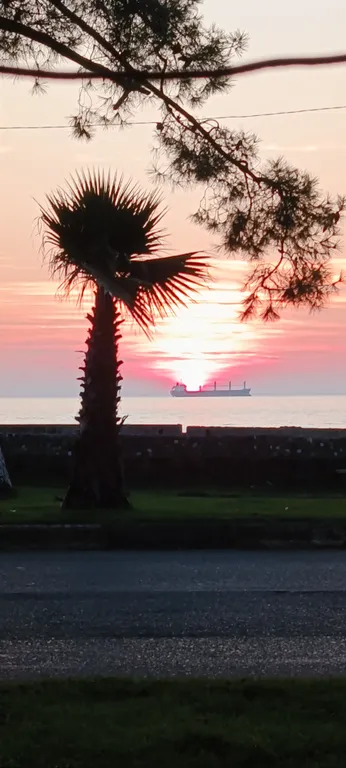 Двухкомнатные апартаменты на берегу моря