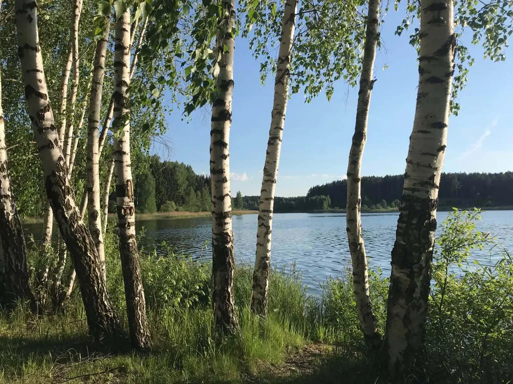 Дачный коттедж в уютном уголке природы