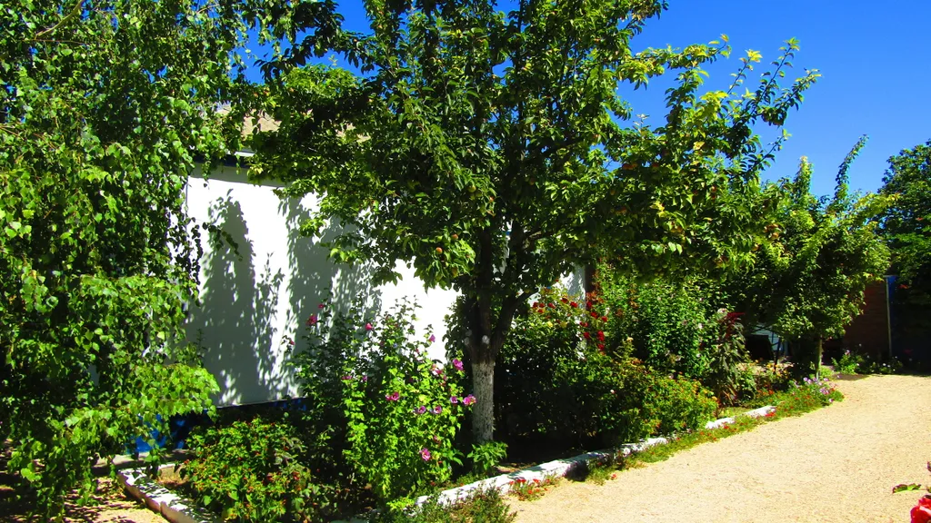 Утопающий в зелени уютный дом