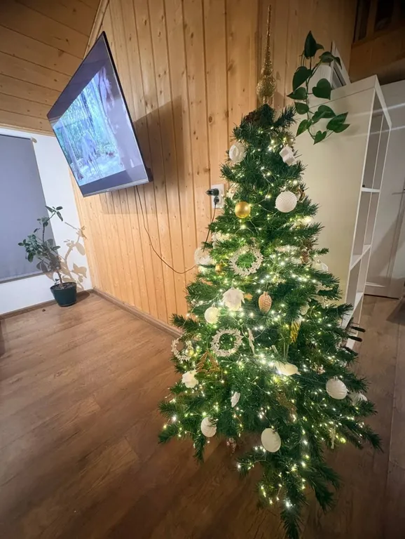 Новый гостевой дом на озере, Загорье дача