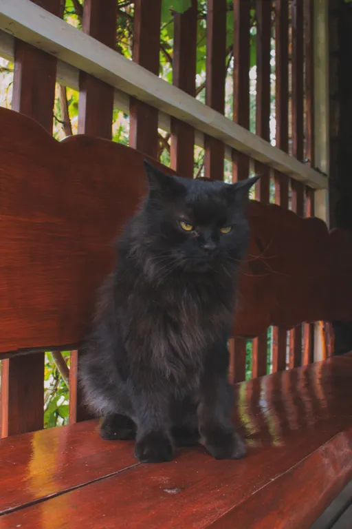 Дом-баня на высоком берегу Березины