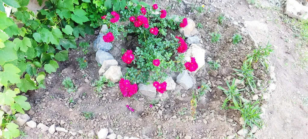 Домик с видом на море