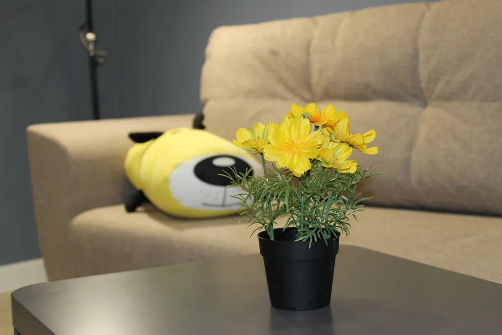 Апартаменты Папай и Оливия с игровой приставкой