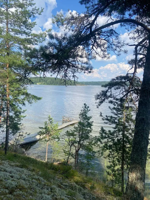 Мансардный этаж в доме на самом берегу Ладоги в сосновом лесу.