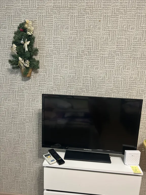 Просторная квартира в центре