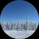 Яна