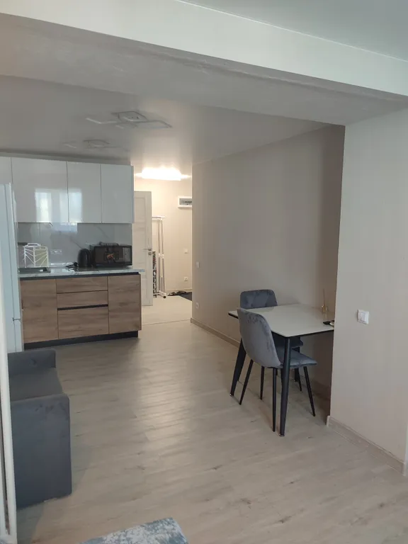 Новая, небольшая студия, евро, всё есть, кресло раскладывается