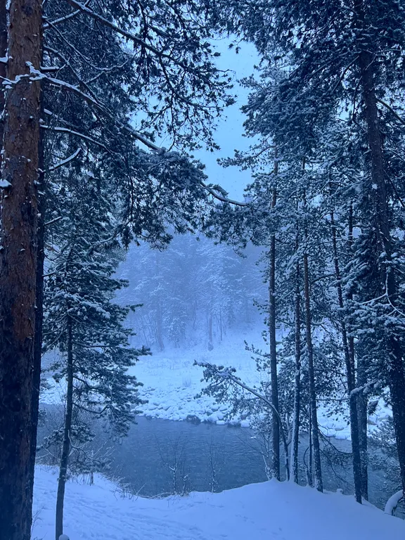 Коттедж 2-комнатный Дом — Архыз