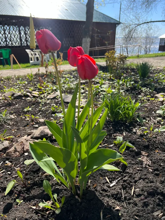 Дом с мангалом и баней