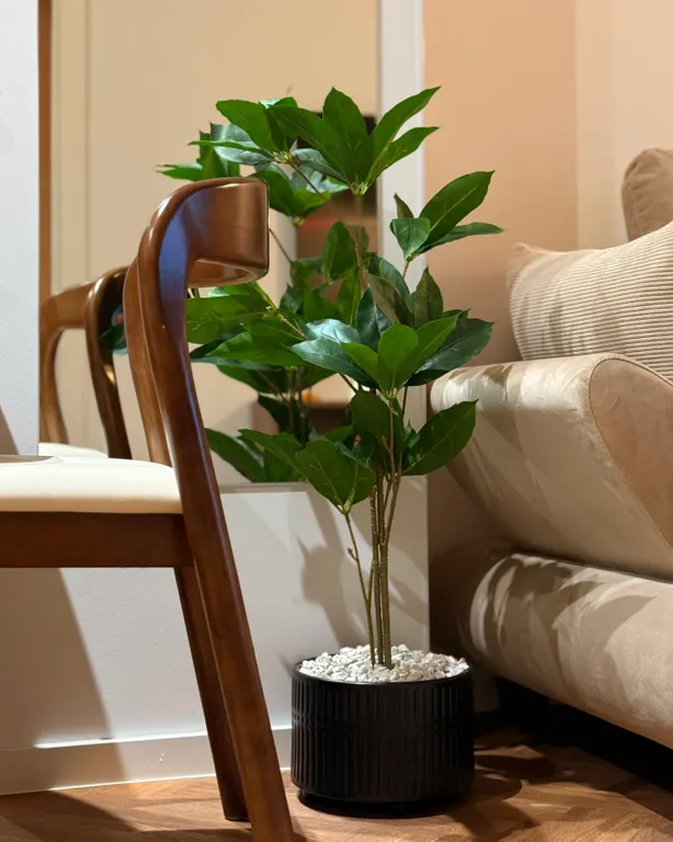 Persimmon, europe square - historic city center