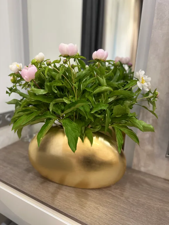 Уютная квартира возле моря