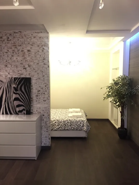 Квартира Квартира Apartment July Zebra — Казань