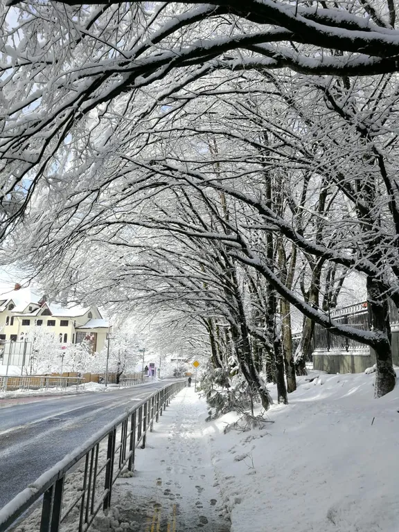 Апартаменты с видом на горы