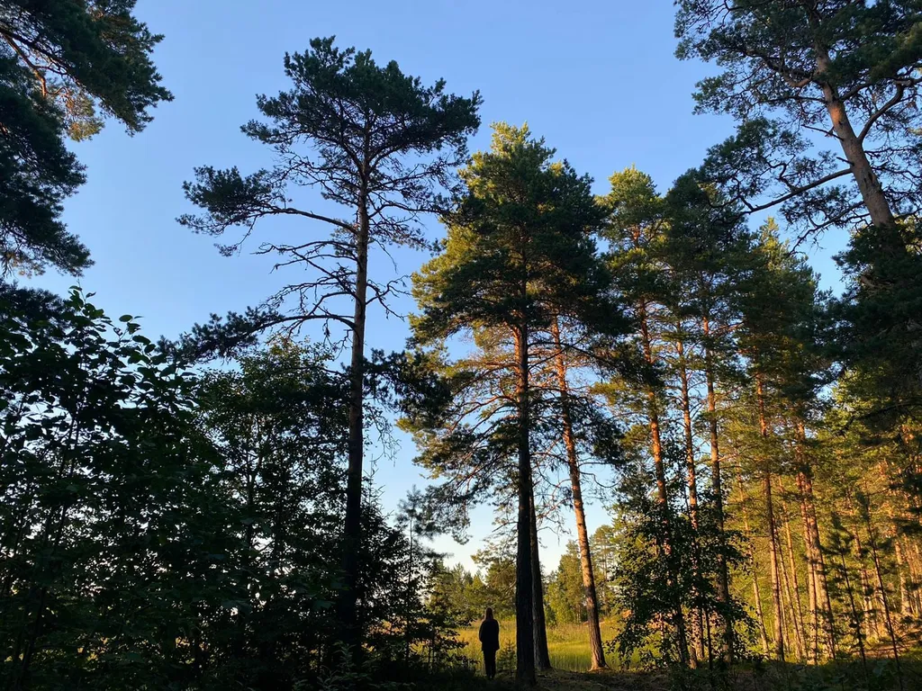 Дом на берегу озера