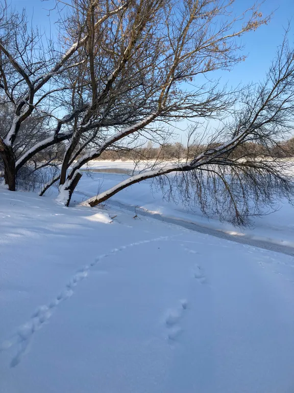 Усадьба Белый кролик