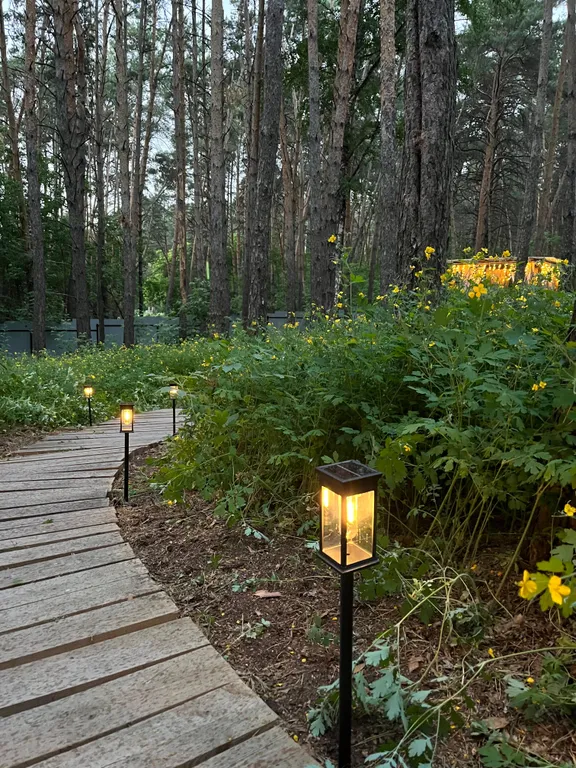 Дом отдыха Чернаков с видом на лес