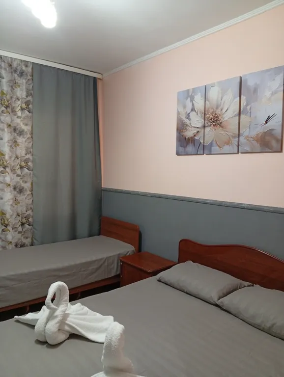 с одной двуспальной или 2 односпальными кроватями и доп спальным мест