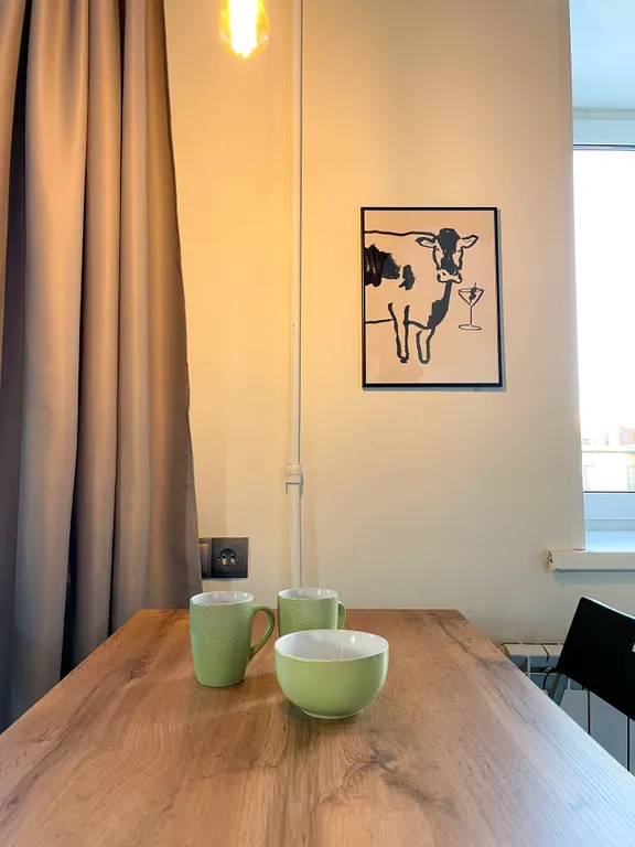 Большая и уютная студия